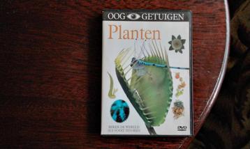 Ooggetuigen planten, origineel  beschikbaar voor biedingen