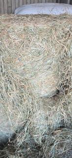 4 grote balen hooi, Dieren en Toebehoren, Dierenvoeding, Ophalen of Verzenden, Vee