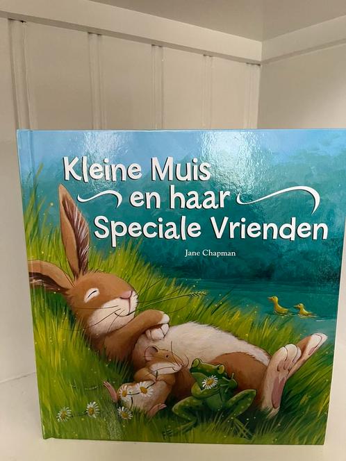 J. Chapman - Kleine Muis en haar speciale vrienden, Boeken, Prentenboeken en Plaatjesalbums, Zo goed als nieuw, Ophalen of Verzenden