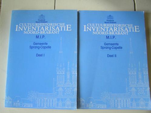 Gemeente Sprang-Capelle. Cultuurhistorische Inventarisatie, Boeken, Geschiedenis | Stad en Regio, Gelezen, Ophalen of Verzenden