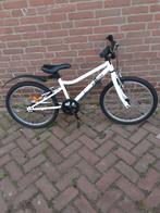 Riverside 100 crossfiets 20 inch, Ophalen, Staal, 20 tot 24 inch, Riverside