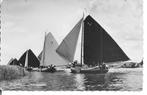 Friesland Skutsjesilen, Ophalen of Verzenden, 1940 tot 1960, Gelopen, Friesland