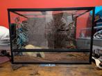 Terrarium 60x40x40, Dieren en Toebehoren, Ophalen, Zo goed als nieuw