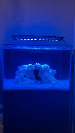 Moet weg!!! blue marine reef 200 aquarium, Dieren en Toebehoren, Ophalen of Verzenden, Zo goed als nieuw, Gevuld zeewateraquarium