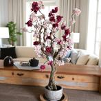 Bloesemboom Kunst - Seta Fiori - op echt hout, Huis en Inrichting, Woonaccessoires | Kunstplanten en Kunstbloemen, Ophalen of Verzenden
