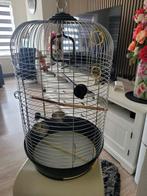 Vogelkooi, Dieren en Toebehoren, Ophalen of Verzenden, Zo goed als nieuw, Metaal, Vogelkooi