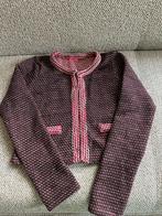 Fraai vestje 34 procent wol maat 146/152, Ophalen of Verzenden, Nieuw, Hema, Meisje