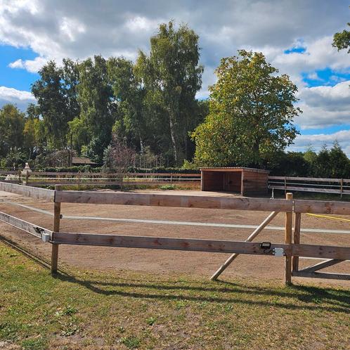 Weidegang voor 2 shetlanders (valkenswaard), Dieren en Toebehoren, Stalling en Weidegang, Weidegang, 2 of 3 paarden of pony's