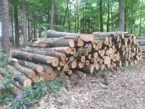 Eiken stammen brandhout, Tuin en Terras, Haardhout, 6 m³ of meer, Ophalen of Verzenden