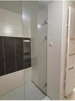 Gratis Douchedeur helder glas 8 mm 256x70 (hxb), Ophalen of Verzenden, Gebruikt, Met douche