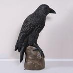 Giant Mystic Night Raven – Raaf 99.1 x 53.3 x 149.9 cm, Verzamelen, Ophalen, Nieuw, Overige typen
