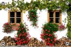 Tuinposter-Schuttingposter XL Venster Geraniums 120x80 cm, Verzenden, Nieuw, Info@GoodSmiling.com, Good Smiling Fotoprint