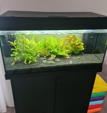 Juwel Aquarium 125 l. inclusief vissen + kast + toebehoren beschikbaar voor biedingen