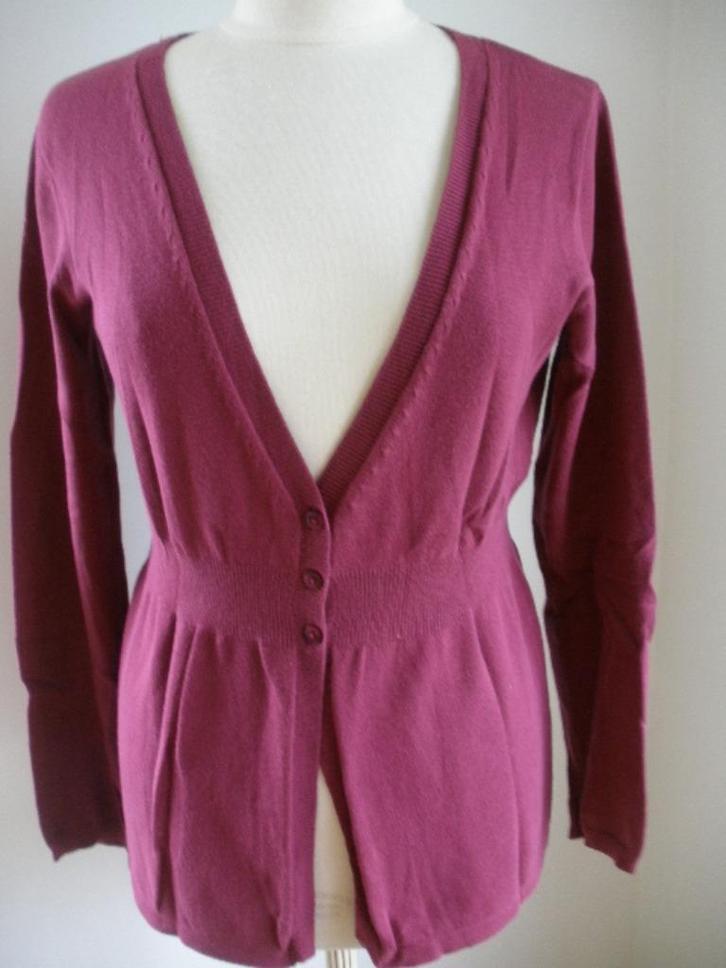 HEMA vest aubergine paars maat L, Kleding | Dames, Truien en Vesten, Zo goed als nieuw, Maat 38/40 (M), Paars, Ophalen of Verzenden