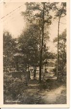 Mooi Lunteren., Verzamelen, Ansichtkaarten | Nederland, Ophalen of Verzenden, 1940 tot 1960, Gelopen, Gelderland