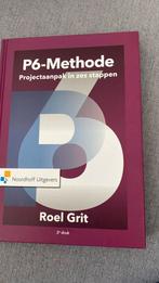 Roel Grit - Projectaanpak in zes stappen, Ophalen of Verzenden, Zo goed als nieuw, Roel Grit