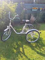 Driewiel fiets, Fietsen en Brommers, Fietsen | Driewielfietsen, Ophalen, Gebruikt, POPAL
