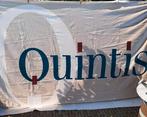 Grote Vlag  Quintis  300 x 200, Ophalen of Verzenden, Zo goed als nieuw