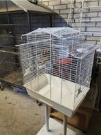 Vogelkooi met standaard, Ophalen, Gebruikt, Vogelkooi