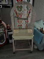 Grote vogelkooi op standaard, Dieren en Toebehoren, Vogels | Hokken en Kooien, Ophalen, Gebruikt, Metaal, Vogelkooi