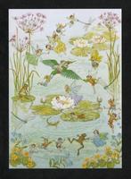 Elfjes Waterlelie IJsvogel Kikkers Libelles by Molly Brett., Ophalen of Verzenden, 1980 tot heden, Ongelopen, Kinderen