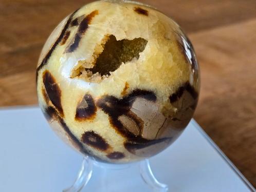 Septarie geode bol, Verzamelen, Mineralen en Fossielen, Mineraal, Ophalen of Verzenden