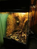 Exo terra 30x30x45, Ophalen, Gebruikt, Terrarium of Paludarium