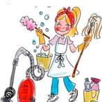 Schoonmaakster gezocht Bleiswijk, Sieraden, Tassen en Uiterlijk, Ophalen of Verzenden, Handtas