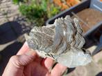 D47-06 Bariet Calciet UV Septemvre mine Madan Bulgarije, Ophalen of Verzenden, Mineraal