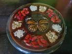 Vintage Vlinder Onderzetter met Inleg, Antiek en Kunst, Ophalen of Verzenden