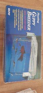 Guppie kweek bakje, Dieren en Toebehoren, Vissen | Aquaria en Toebehoren, Ophalen, Nieuw, Plant(en), Steen of Hout