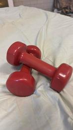 2 Dumbels / 2 kilo per dumbel, Ophalen of Verzenden, Gebruikt, Dumbbell