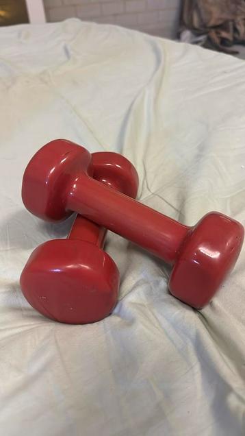 2 Dumbels / 2 kilo per dumbel beschikbaar voor biedingen