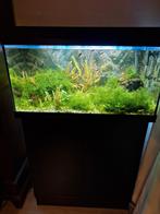 Juwel Aquarium 120 liter met zwarte onderkast onderkast, Gebruikt, Ophalen