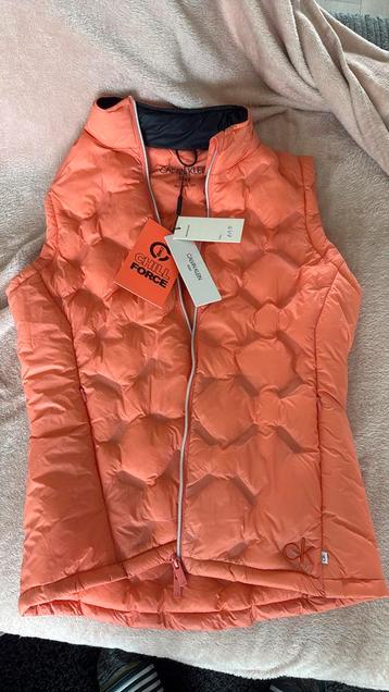 Calvin klein body warmer maat 38 NIEUW! beschikbaar voor biedingen