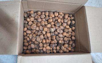 Verse biologische walnoten 10 kilo beschikbaar voor biedingen