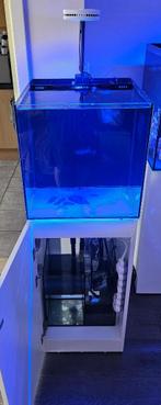 WATERBOX MARINE X 35.1, Dieren en Toebehoren, Ophalen, Zo goed als nieuw, Leeg aquarium
