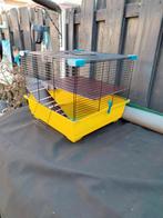 Hamsterkooi, Geslacht onbekend, Hamster