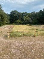 Pony shetlander paddock paradise pensionstal, Dieren en Toebehoren, Stalling en Weidegang