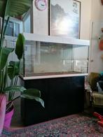 Aquarium 240 L eventueel met meubel, Ophalen