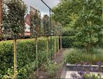 LEIBOMEN ACTIE! leiboom leilinde laurier Olijfwilg steeneik, Tuin en Terras, Planten | Bomen, Ophalen, Volle zon, Overige soorten