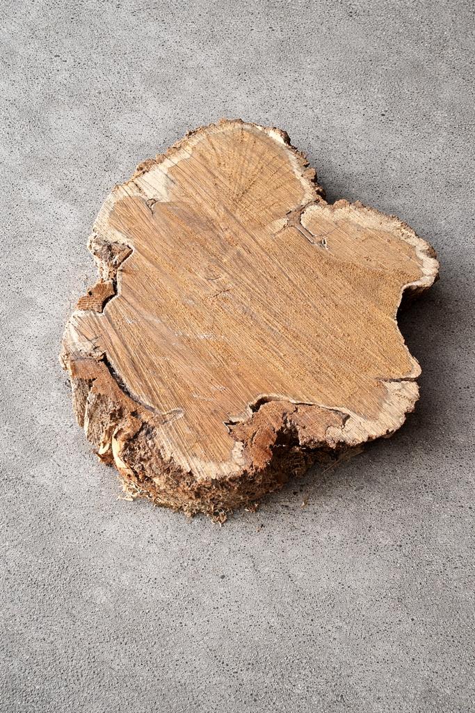Acaciahout - acacia hout - schijf, Ophalen