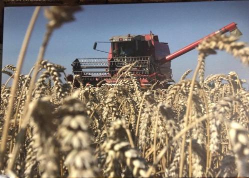 Foto op canvas - dorsmachine bij Groede (Zeeuws Vlaanderen), Huis en Inrichting, Woonaccessoires | Schilderijen, Tekeningen en Foto's