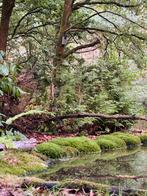 GEZOCHT stukje grond, Dieren en Toebehoren, Stalling en Weidegang