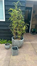 Set plantenbakken voor buiten, Ophalen of Verzenden, Rond, Minder dan 60 cm