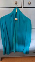 Jackpot vest maat L in een mooie kleur blauw
In goede staat, Kleding | Dames, Truien en Vesten, Ophalen of Verzenden, Zo goed als nieuw