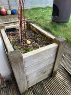 Plantenbak met bramenstruik - Wegens emigratie, Ophalen, Gebruikt, Balkon, Minder dan 60 cm