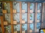 Te koop kweekkooien Evt met vogels, Dieren en Toebehoren, Meerdere dieren, Parkiet