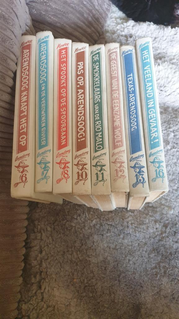Arendsoog Serie - 8 Boeken, Boeken, Kinderboeken | Jeugd | 13 jaar en ouder, Ophalen of Verzenden