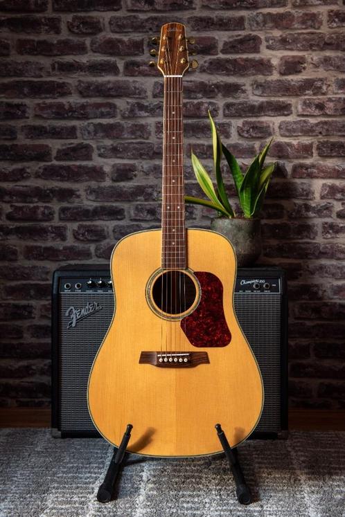 Walden D610 Natural - Akoestische gitaar, Muziek en Instrumenten, Snaarinstrumenten | Gitaren | Akoestisch, Zo goed als nieuw